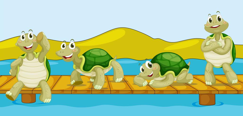 Fyra sköldpaddor på träbro vektor