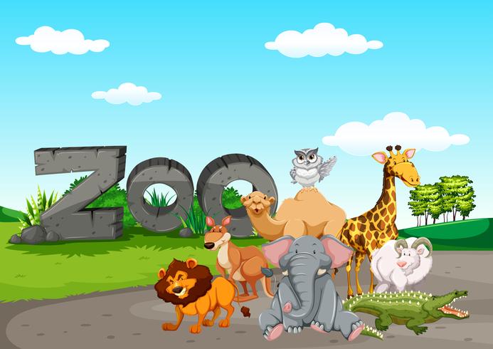 Vild animasl i djurparken vektor