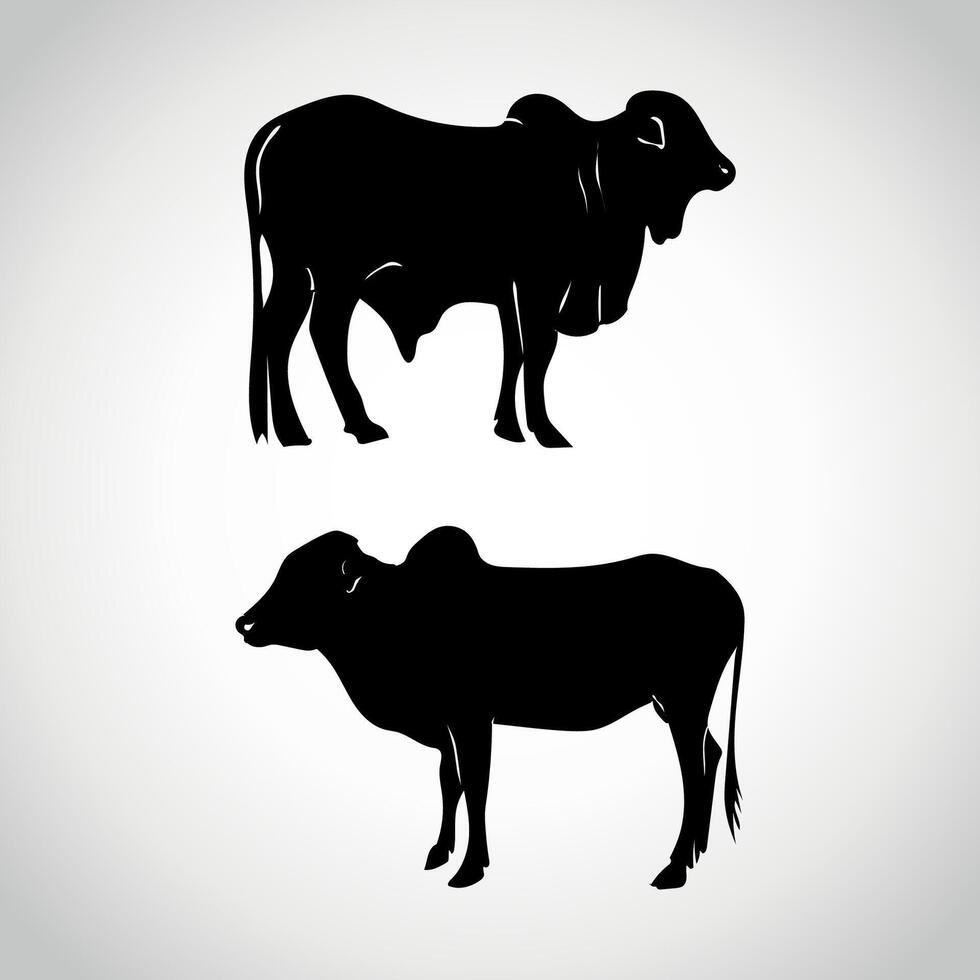einstellen von Kühe. Silhouette Kuh isoliert auf Weiß vektor