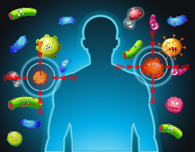 Menschlicher Körper und Bakterien vektor