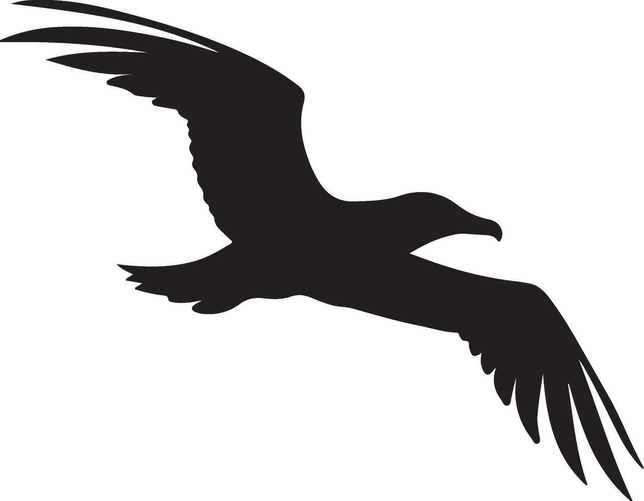 Albatros Silhouette Illustration Weiß Hintergrund vektor