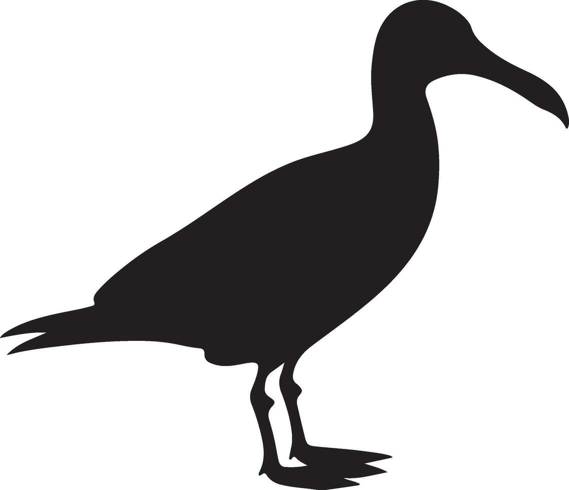 Albatros Silhouette Illustration Weiß Hintergrund vektor