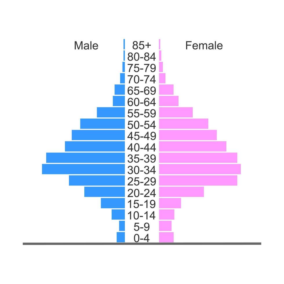 Population Pyramide. Alter Struktur Diagramm Vorlage. Beispiel von Population Verteilung durch männlich und weiblich Gruppen mit anders Alter vektor