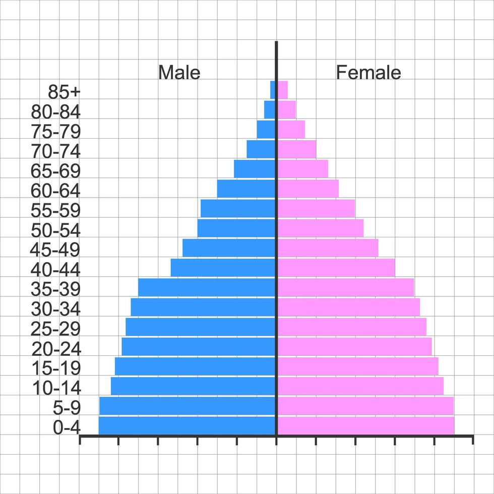 Alter Struktur Diagramm Vorlage. Population Pyramide isoliert auf Weiß Hintergrund. Stichprobe von Bewohner Verteilung durch männlich und weiblich Gruppen mit anders Alter. vektor