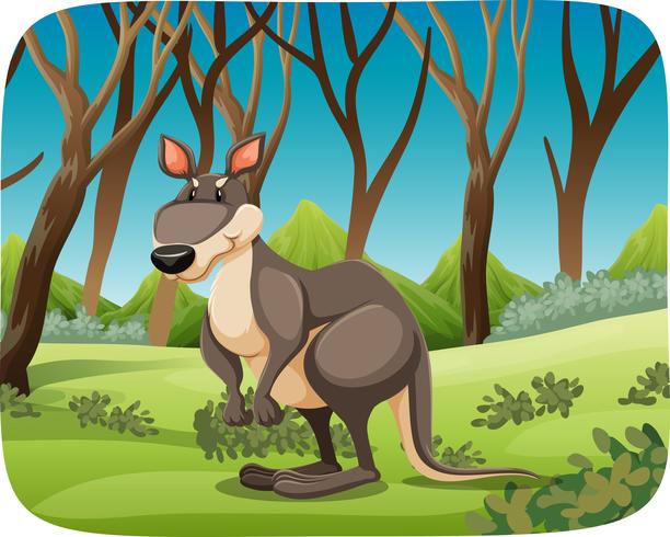 En känguru i naturbakgrund vektor