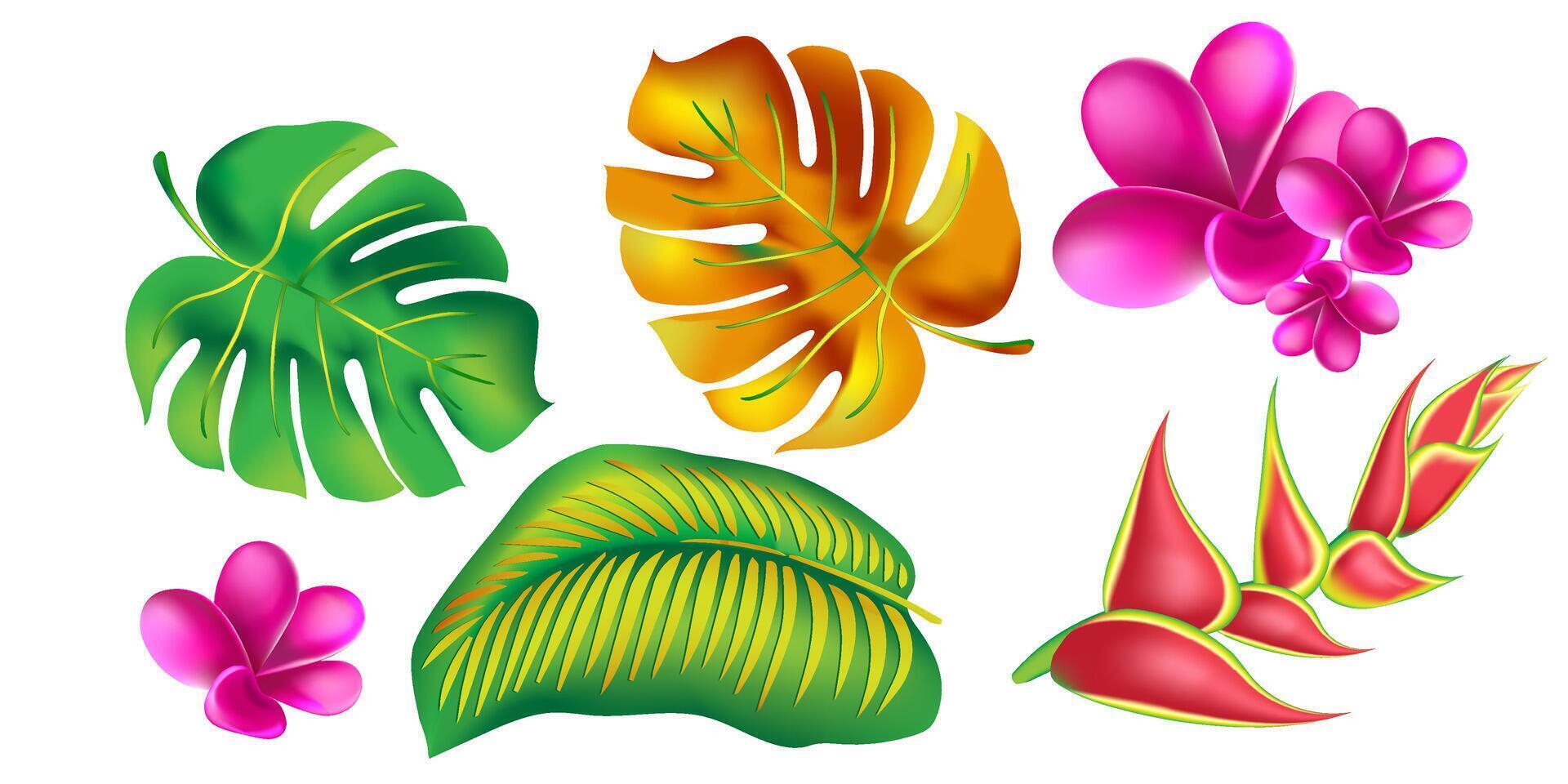 Urwald Blume, Blätter tropisch Satz. isoliert Elemente. Palme Blatt, Monstera, Rosa Plumeria Blume, Hibiskus Blüte, exotisch tropisch Sommer- Blumen und Blätter. vektor