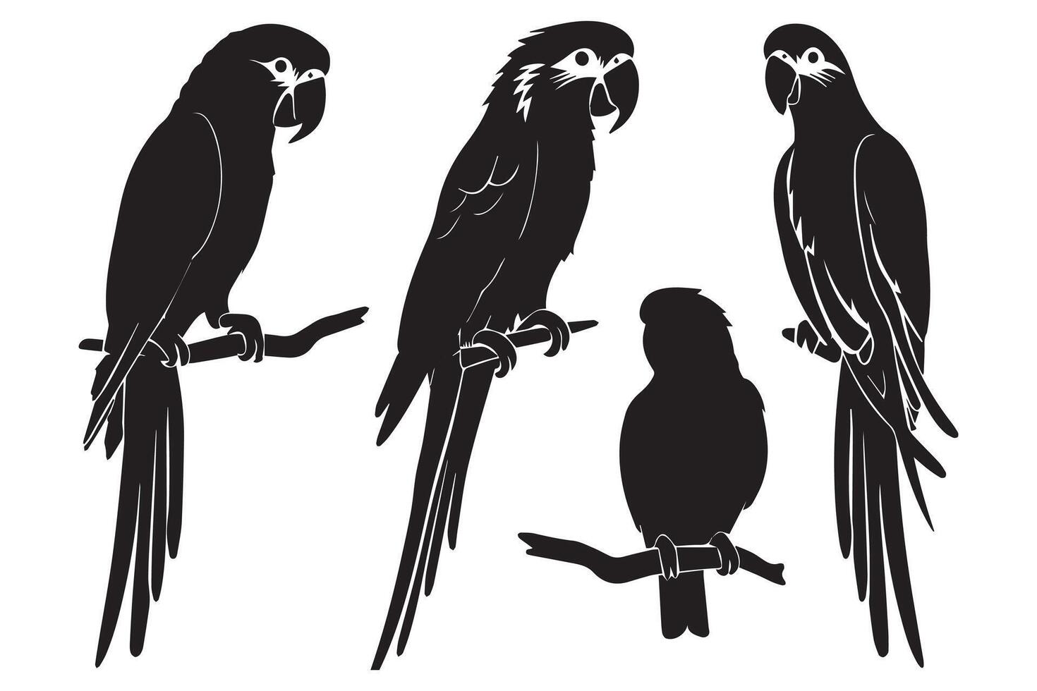 einstellen von Silhouetten von Papageien. Sammlung von tropisch Vögel von das Amazonas Dschungel. inländisch Papagei auf ein sitzen auf ein stand.illustration auf ein Weiß Hintergrund vektor