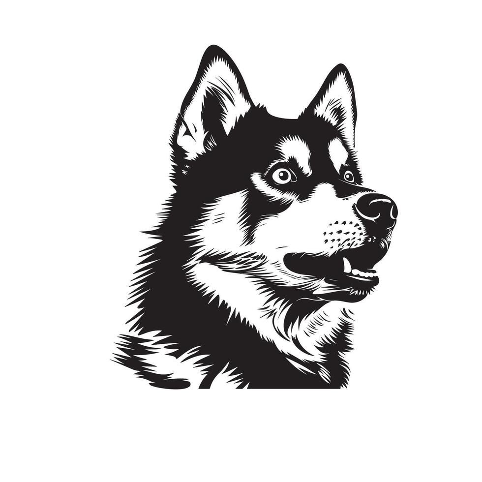 hund - en sibirisk hes hund överraskad ansikte illustration i svart och vit vektor