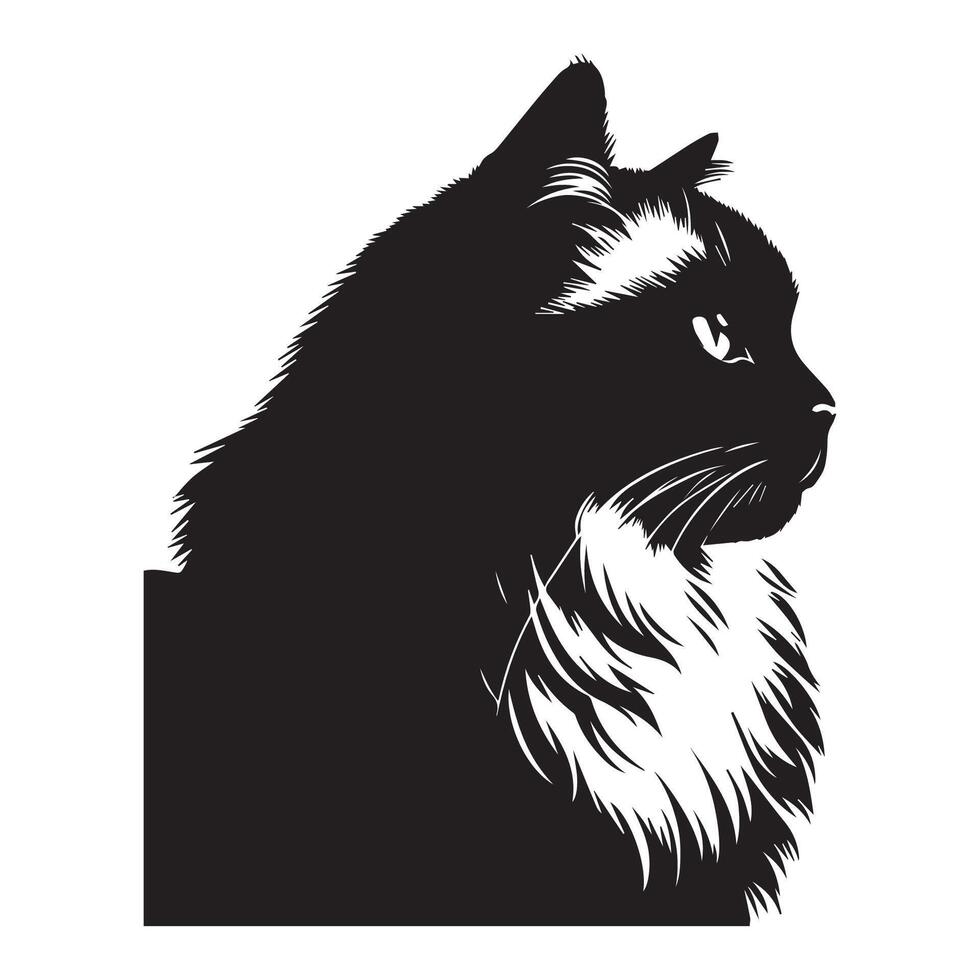 katt silhuett - kontemplativ ragdoll katt ansikte illustration på en vit bakgrund vektor