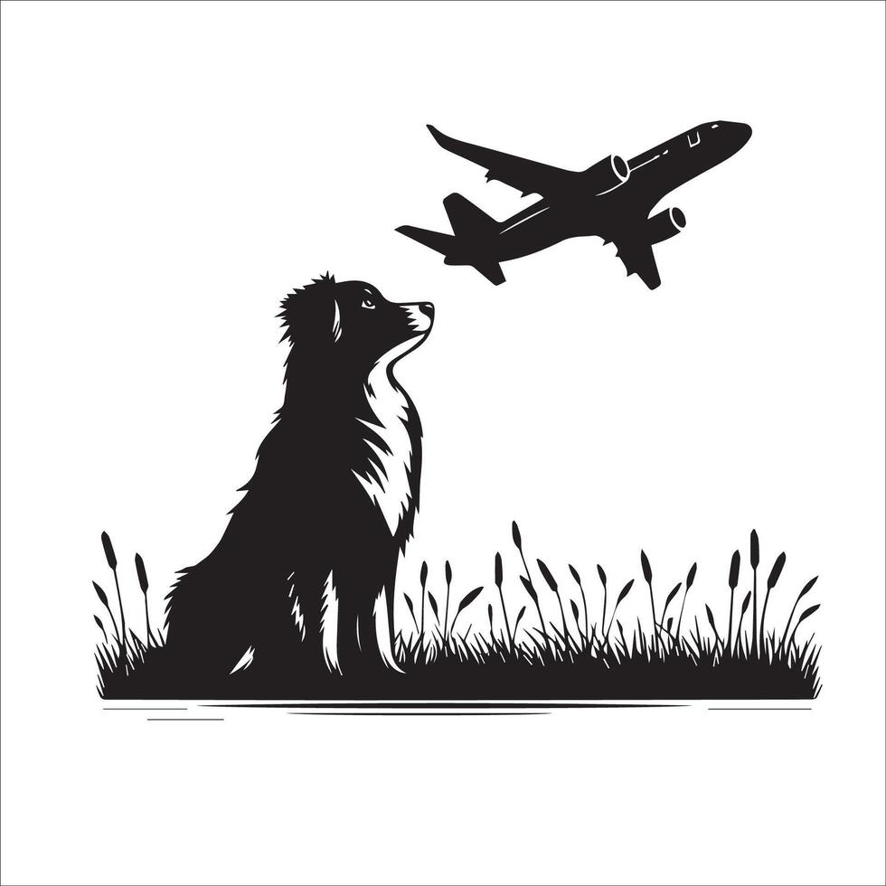 australisch Schäfer - - ein australisch Schäfer Hund suchen ein Flugzeug Illustration im schwarz und Weiß vektor