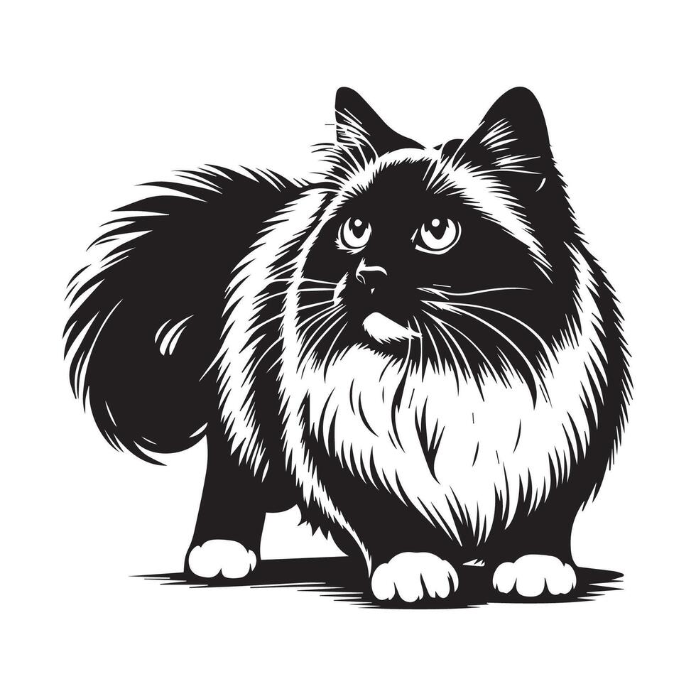 Illustration von ein abenteuerlich Ragdoll Katze mit warnen vektor