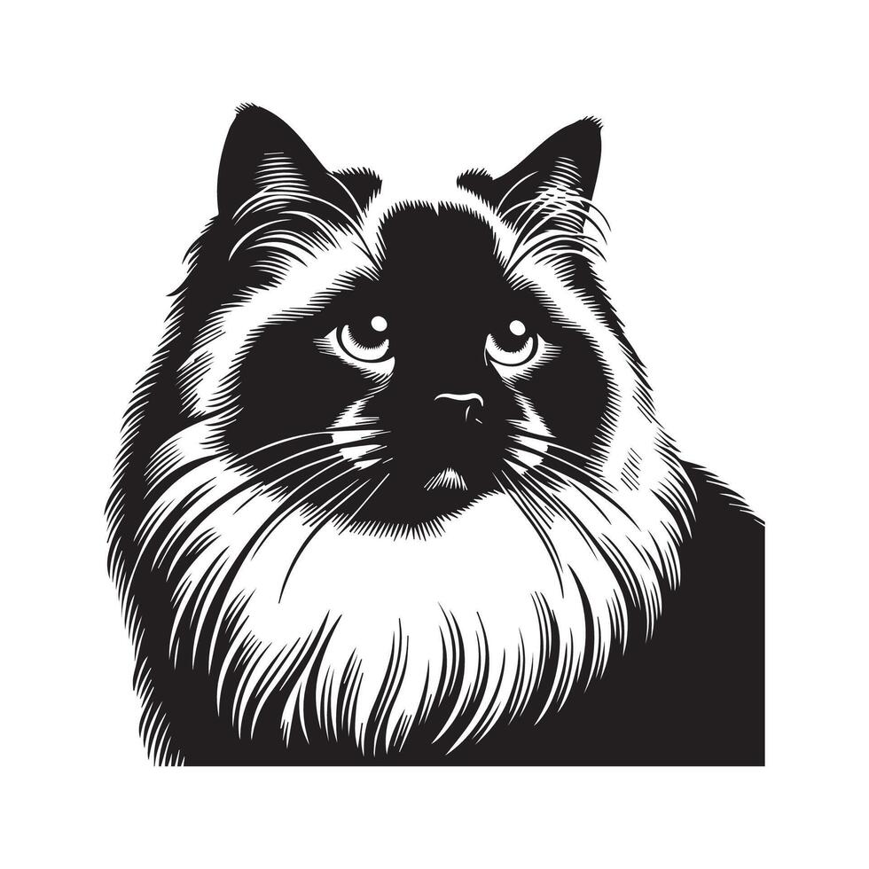 katt - nostalgisk ragdoll katt ansikte illustration logotyp begrepp design vektor