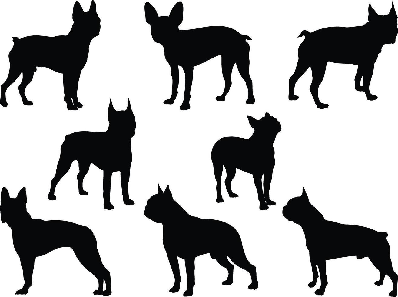 boston terrier hundar silhuett på vit bakgrund vektor