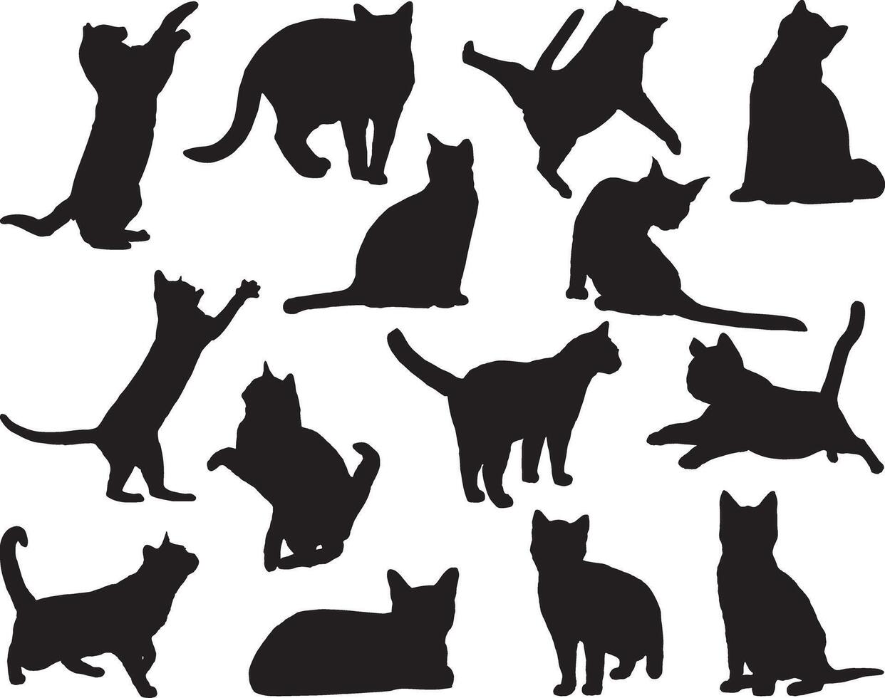 Katzen Silhouette auf Weiß Hintergrund vektor