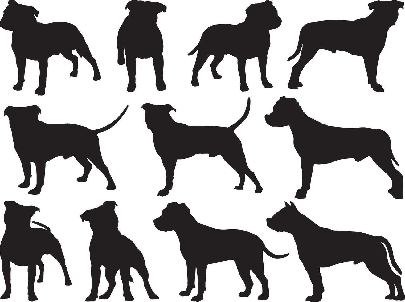 Staffordshire Hunde Silhouette auf Weiß Hintergrund vektor