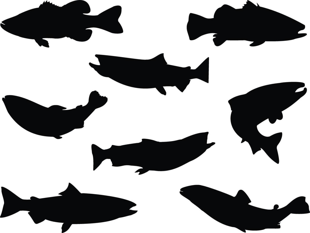 Lachs Fische Silhouette auf Weiß Hintergrund vektor
