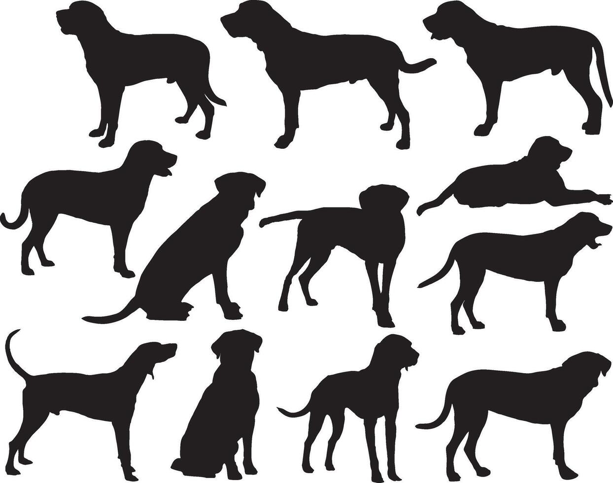 Broholmer Hunde Silhouette auf Weiß Hintergrund vektor