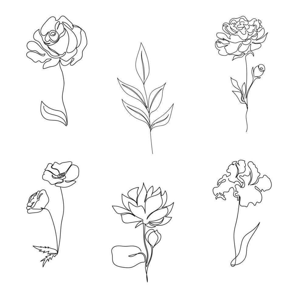 uppsättning abstrakta blommor ritade av en linje isolerad på vit bakgrund. ros, gren, vallmo, iris, pion, lotus. minimalism. för väggkonst, heminredning, mönster, tryck. enkel vektorillustration. vektor