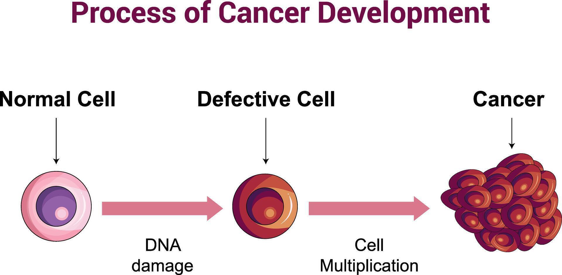 Prozess von Krebs Zelle Entwicklung Wissenschaft Diagramm Illustration vektor
