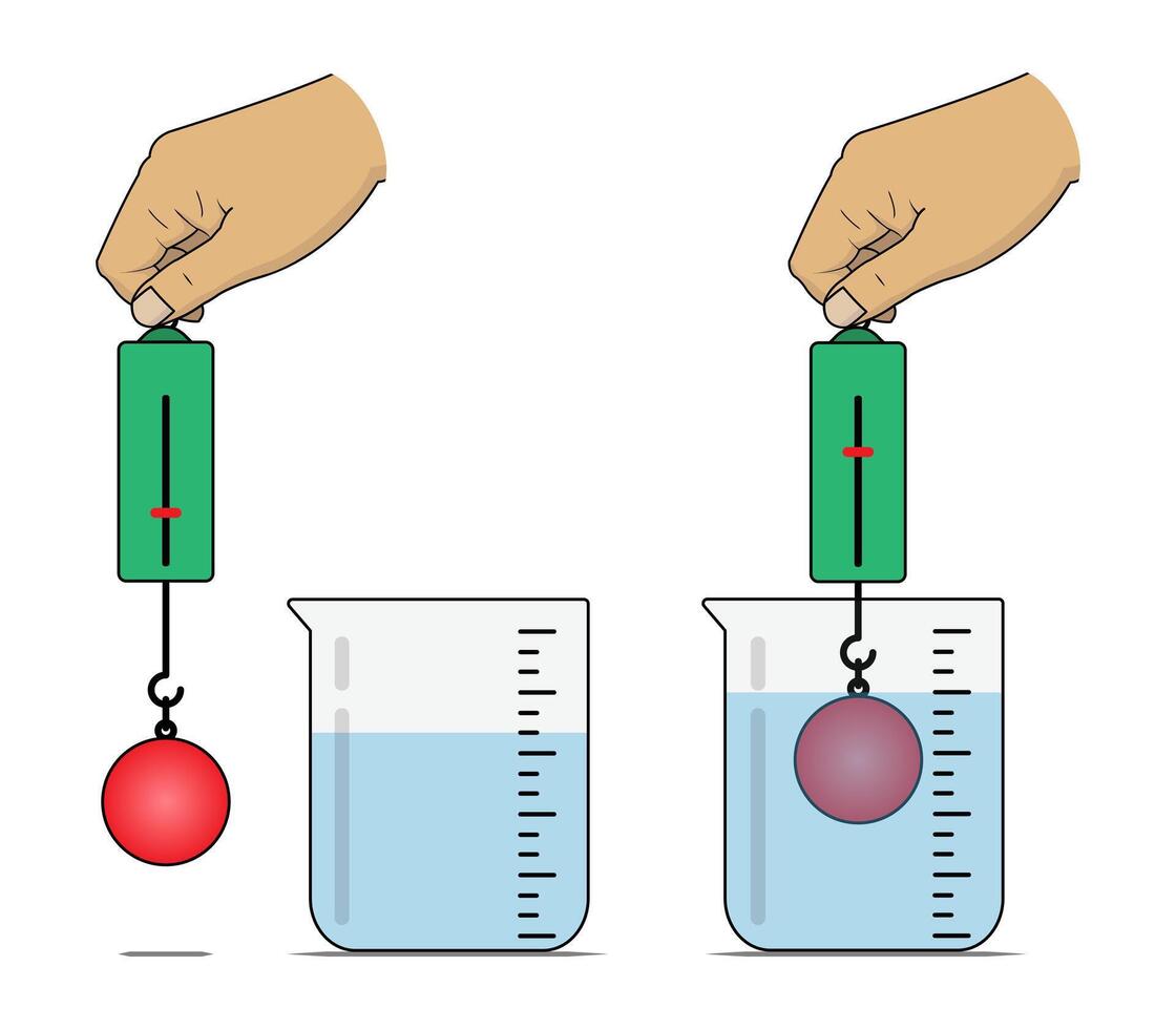 wiegen das Masse von ein Objekt im Wasser mit ein Frühling Balance vektor