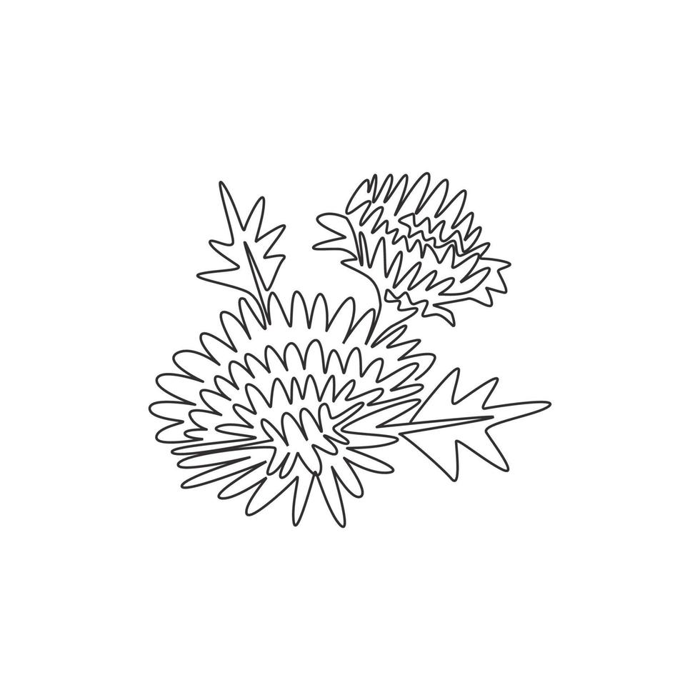 Eine einzige Strichzeichnung der Schönheit frischer Chrysantheme für das Gartenlogo. druckbares dekoratives Chrysanth-Blumenkonzept für Grußkartenverzierung. moderne durchgehende Linie zeichnen Design-Vektor-Illustration vektor