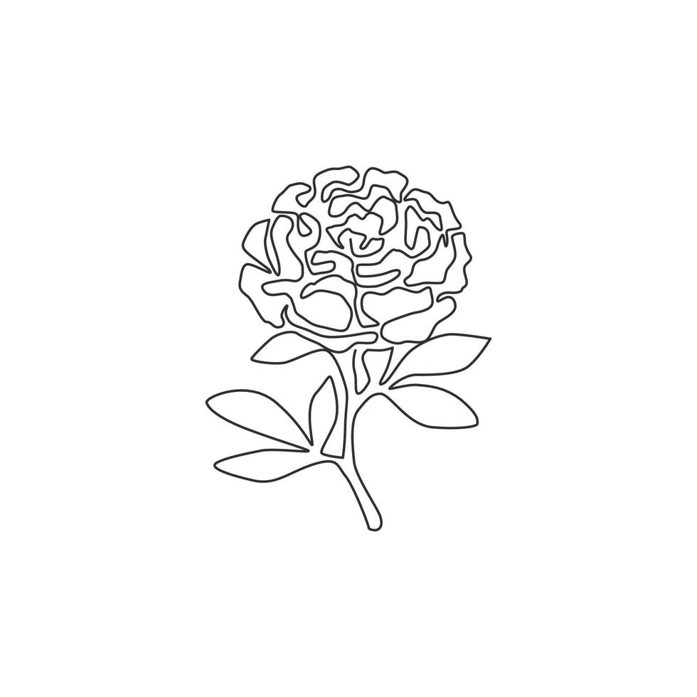 enda kontinuerlig linjeritning av skönhet färsk örtväxt för trädgård logotyp. utskrivbart dekorativt pionblommakoncept för bröllopsinbjudningskort. trendiga en rad rita design vektorillustration vektor