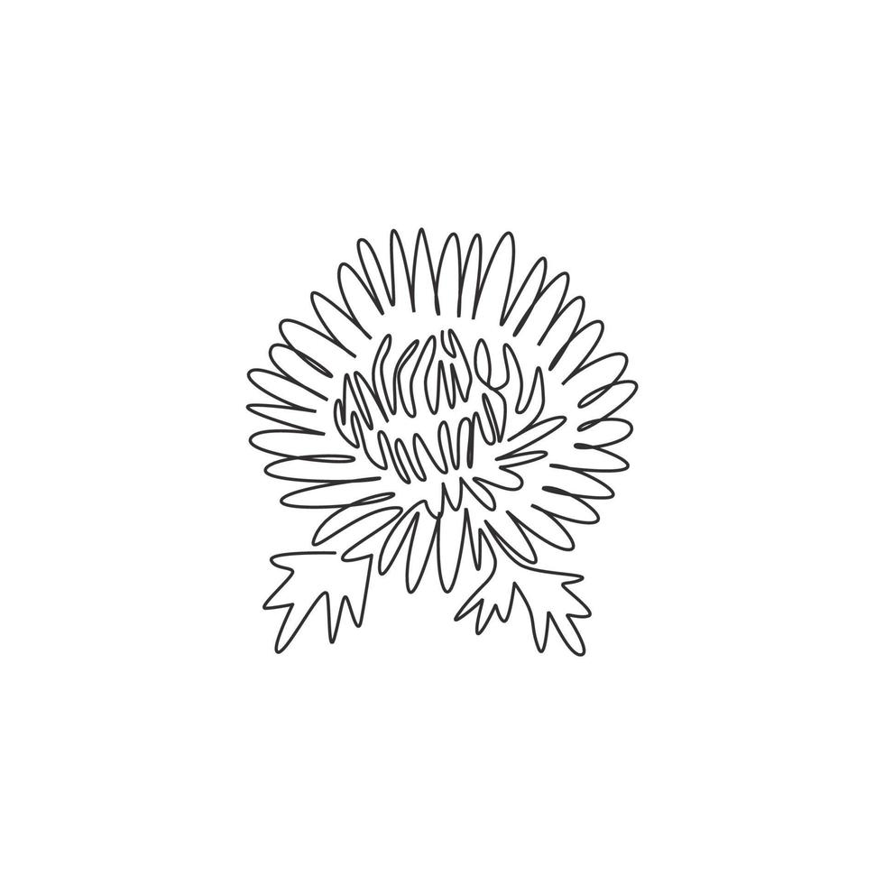 en kontinuerlig linjeteckning av skönhet färsk krysantemum för trädgård logotyp. utskrivbart dekorativt krysantblommakoncept för bröllopsinbjudningskort. moderna en rad rita design vektorillustration vektor
