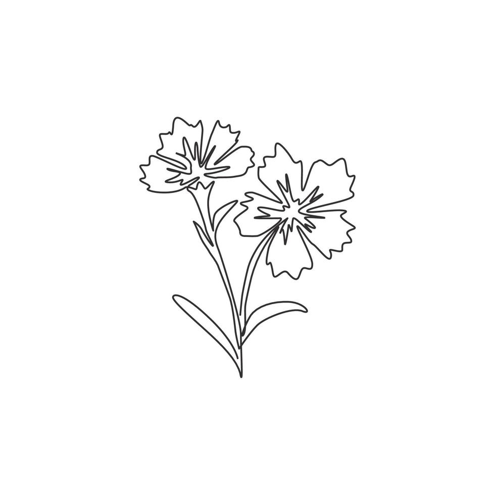 Single One Line Drawing of Beauty Fresh Dianthus für Home Wall Decor Art Poster Print. dekoratives Nelkenblumenkonzept für grüne Parkikone. moderne durchgehende Linie zeichnen Design-Vektor-Illustration vektor