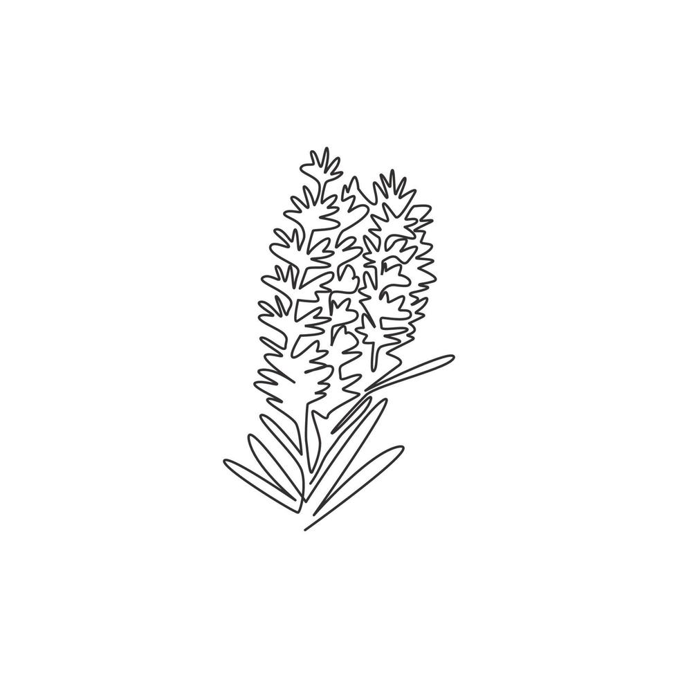 en kontinuerlig linjeteckning av skönhet färsk lavandula för trädgårdslogotyp. utskrivbart dekorativt lavendelblommakoncept för hemväggsdekoration affischkonsttryck. enkel rad rita design vektorillustration vektor