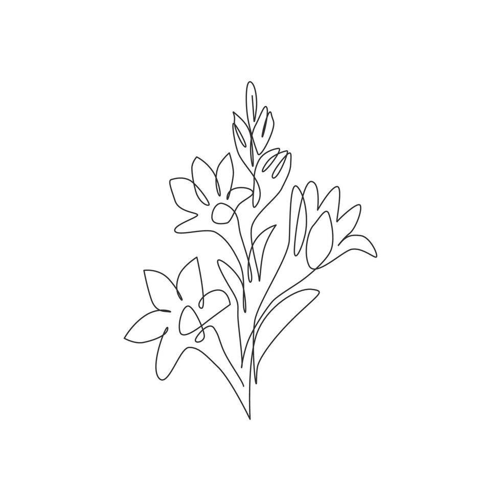 enda en rad ritning av skönhet färsk agave amica för trädgård logotyp. dekorativa tuberos blomma koncept för hem konst vägg dekor affischtryck. modern kontinuerlig linje rita design vektorillustration vektor