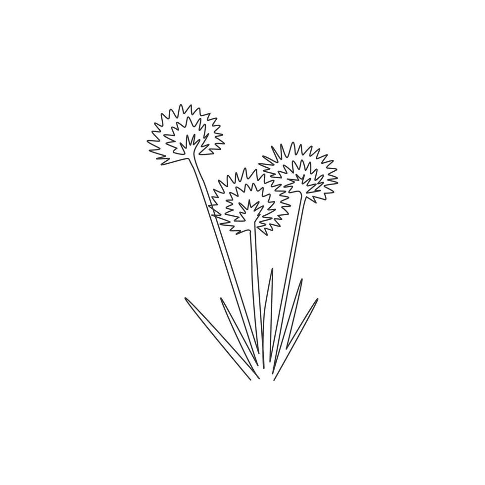 eine durchgehende Linie, die Schönheit frisches Allium Tuberosum für Hauptwanddekor-Plakatkunstdruck zeichnet. dekorative orientalische Knoblauch-Schnittlauch-Blume für Grußkarten. Einzeilige Zeichnungsdesign-Vektorillustration vektor