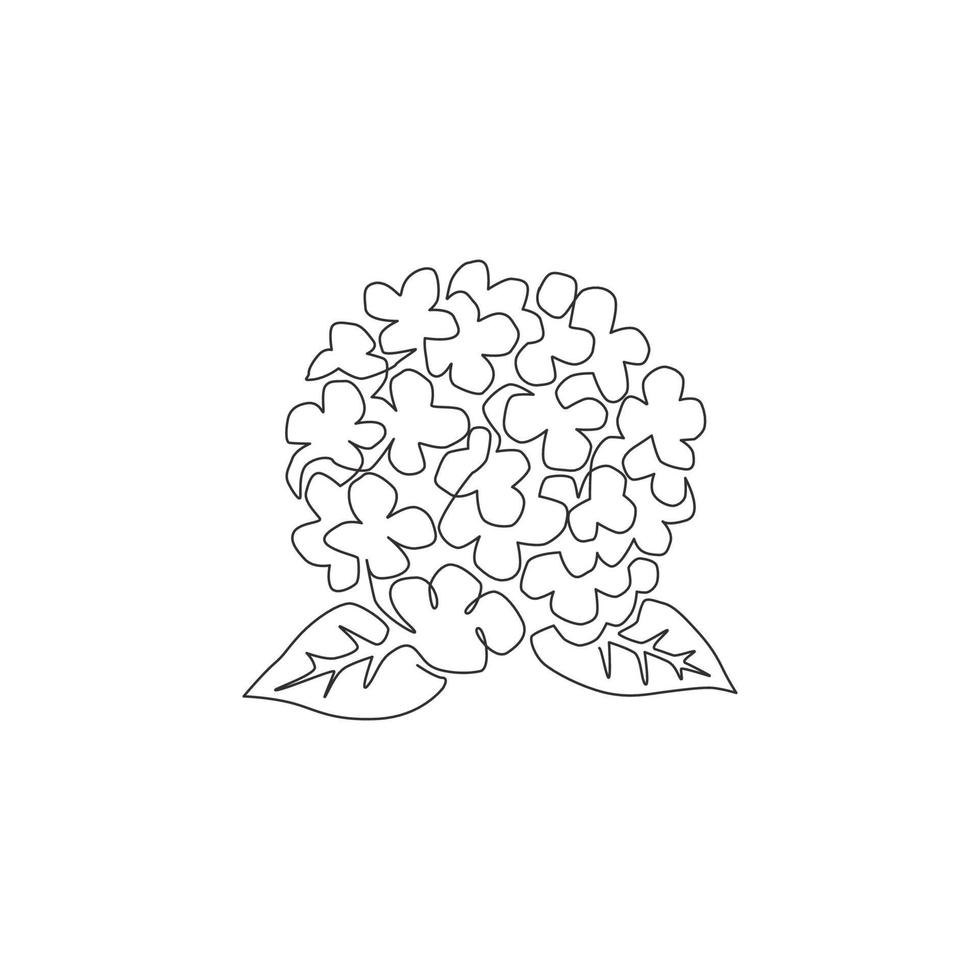 einzelne durchgehende Strichzeichnung Schönheit frische Hortensia für Hauptwanddekor-Kunstplakatdruck. dekoratives Hortensienblumenkonzept für Blumenkartenrahmen. moderne eine linie zeichnen design-vektorillustration vektor