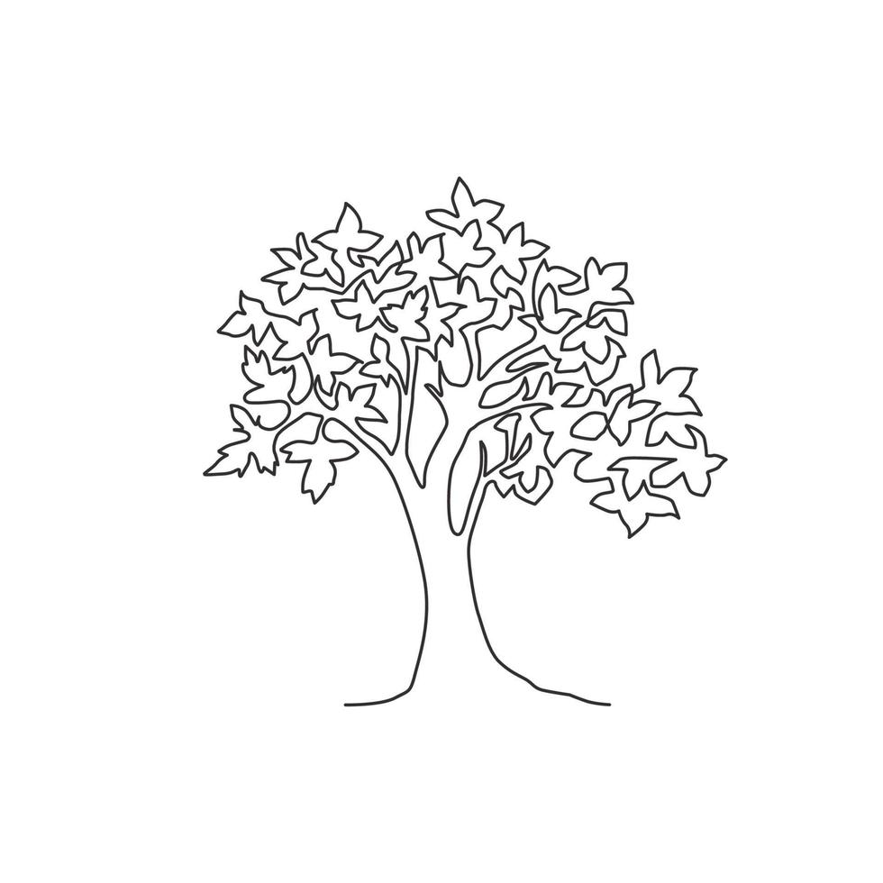 einzelne durchgehende Strichzeichnung des exotischen Ahornbaums der großen Schönheit für den Hauptwanddekor-Kunstplakatdruck. dekorative Bergahornpflanze für Nationalparklogo. moderne eine linie zeichnen design-vektorillustration vektor