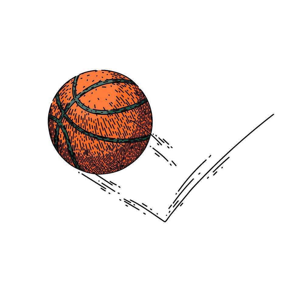 isoliert Basketball Ball skizzieren Hand gezeichnet vektor
