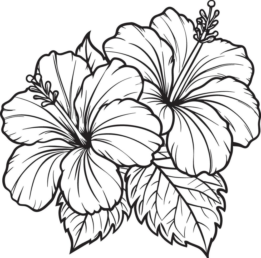 hibiskus blomma. illustration vektor