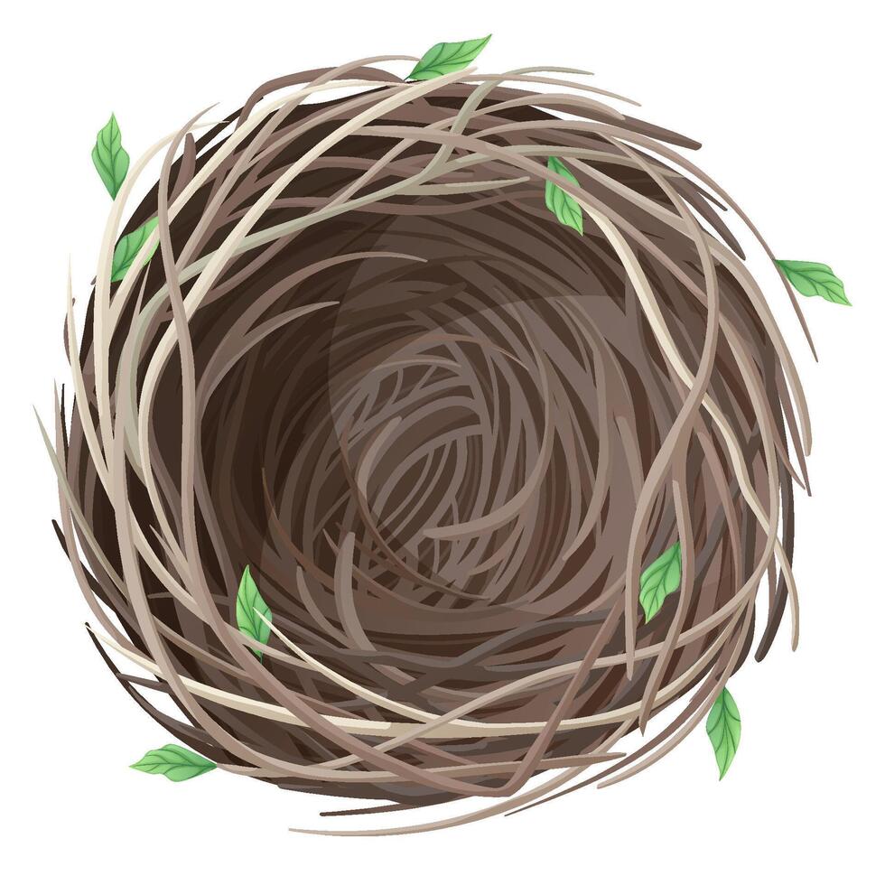 leeren Vogel s Nest auf ein Weiß Hintergrund. Frühling Illustration zum Dekor, Design. Frühling Zeit vektor