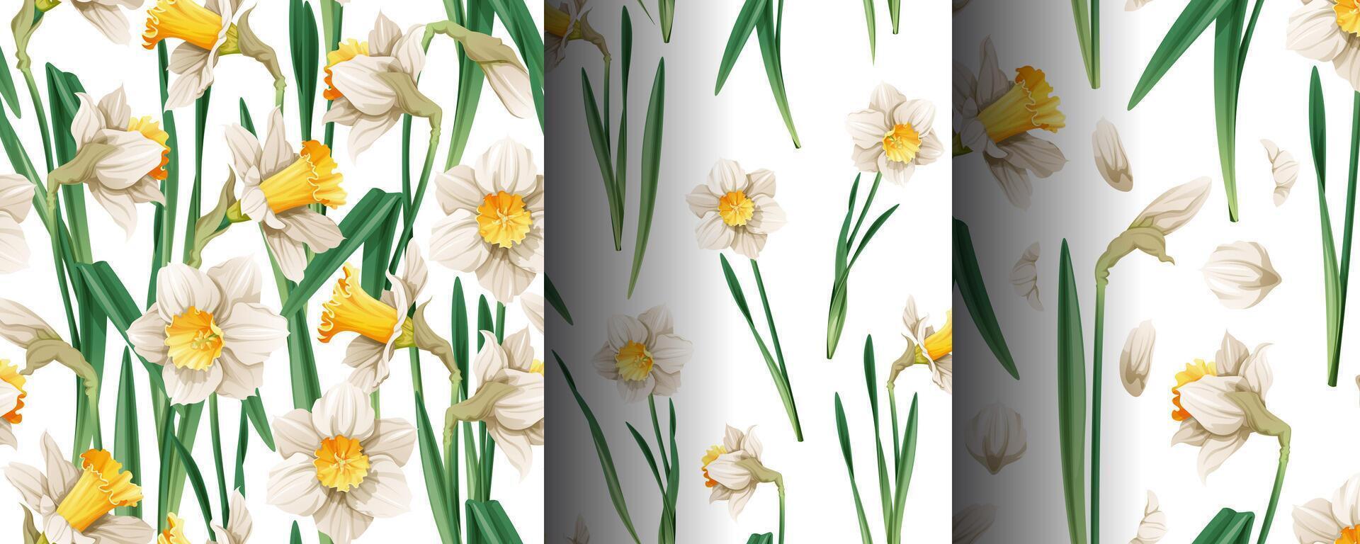uppsättning av sömlös mönster med vår blommor. textur med påskliljor och kronblad. grafik. påsk bakgrund. bra för tapet, tyg, kort. vektor