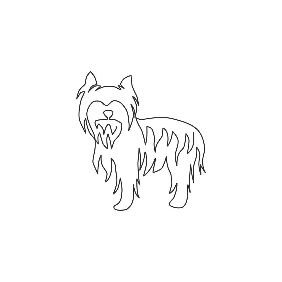 enda kontinuerlig linjeteckning av bedårande yorkshire terrierhund för företagslogotyp identitet. renrasig hundmaskotkoncept för stamtavlavänlig husdjursikon. moderna en rad rita design vektorillustration vektor