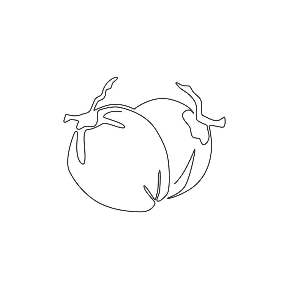 en kontinuerlig linjeritning av hel hälsosam ekologisk kokosnöt för identitet för fruktträdgårdslogotyp. färsk frukt koncept för frukt trädgård ikon. moderna en rad rita design vektorgrafisk illustration vektor