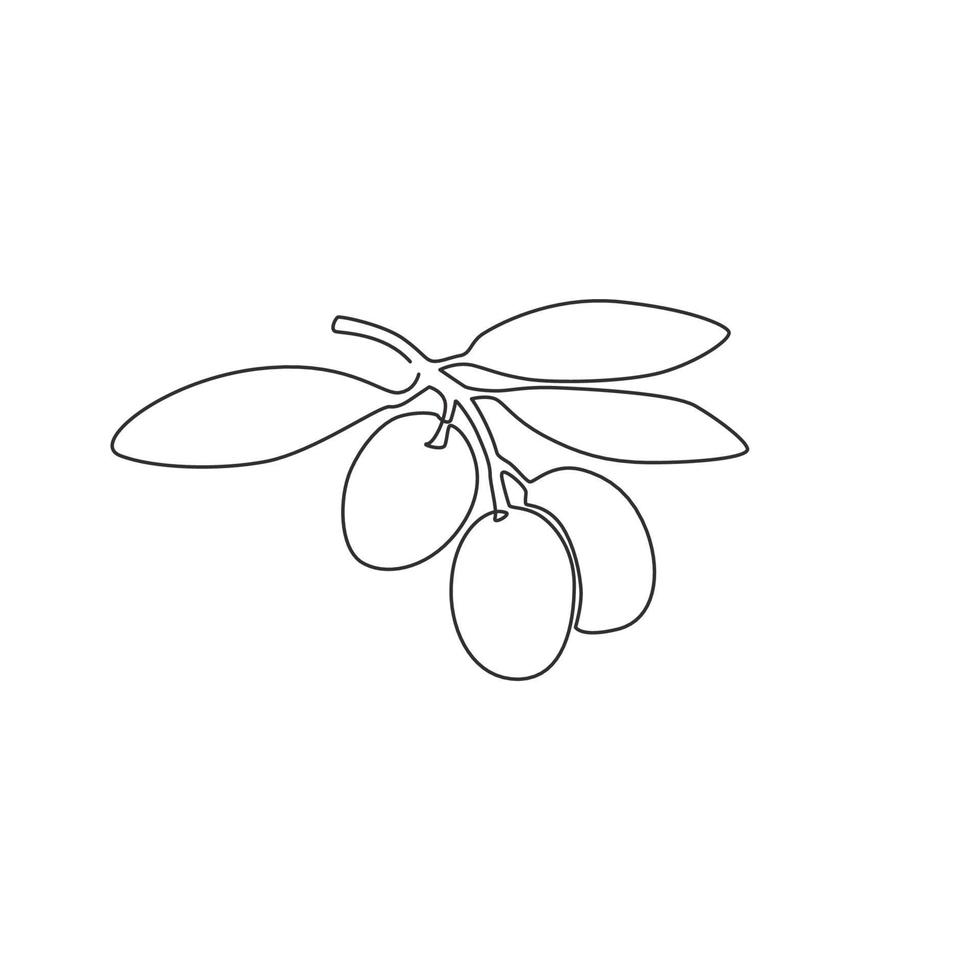 en enda linjeritning av hög hälsosam organisk olivfrukt för trädgårdslogotypidentitet. färska kärningredienser koncept för frukt ikon. modern kontinuerlig linje rita design vektorgrafisk illustration vektor