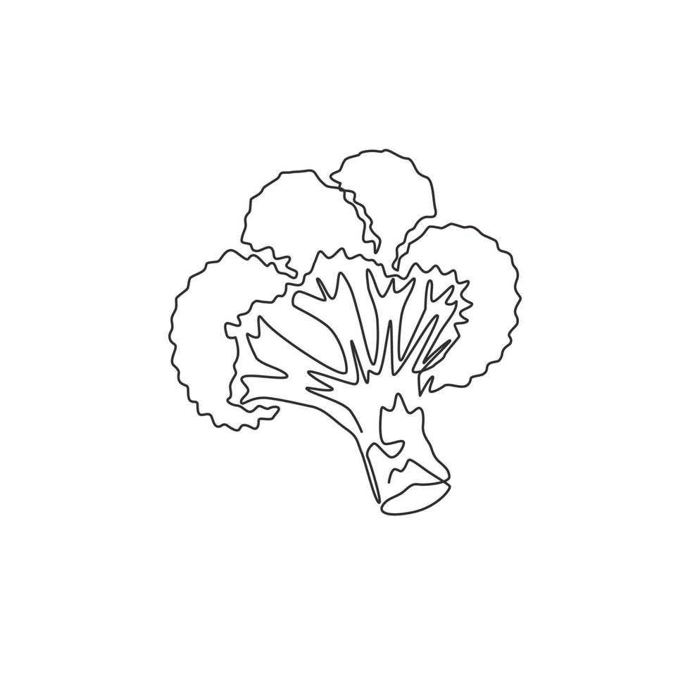 en enda linjeritning hel hälsosam ekologisk grön broccoli för gårdslogotypidentitet. färsk ätbar grön växt koncept för grönsaksikonen. modern kontinuerlig linje rita design vektorgrafisk illustration vektor