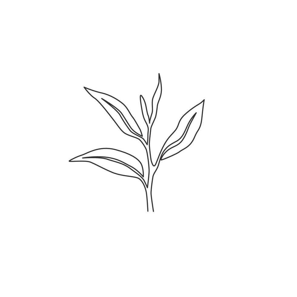 en kontinuerlig linjeritning av hela hälsosamma ekologiska teblad för örtdrycklogotyp. färsk natur koncept för te plantage ikon. moderna en rad rita design vektorgrafisk illustration vektor