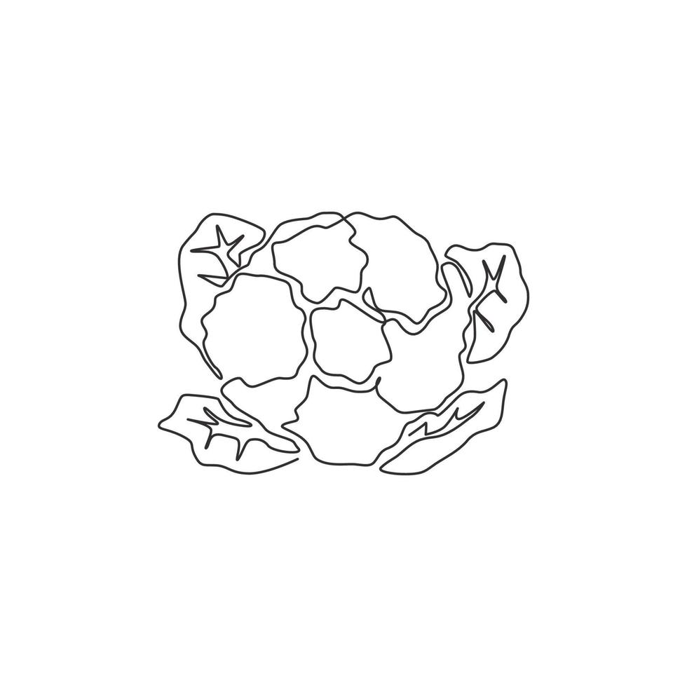 enda kontinuerlig linjeritning av hel hälsosam ekologisk blomkål för gårdslogotyp. färsk brassica oleracea koncept för grönsaksikon. moderna en rad rita design grafisk vektorillustration vektor