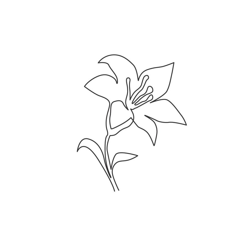 enda kontinuerlig linjeteckning av skönhet färsk lilium för hem vägg dekor affisch. utskrivbar dekorativ äkta liljor blomma för gratulationskort prydnad. moderna en rad rita design vektorillustration vektor