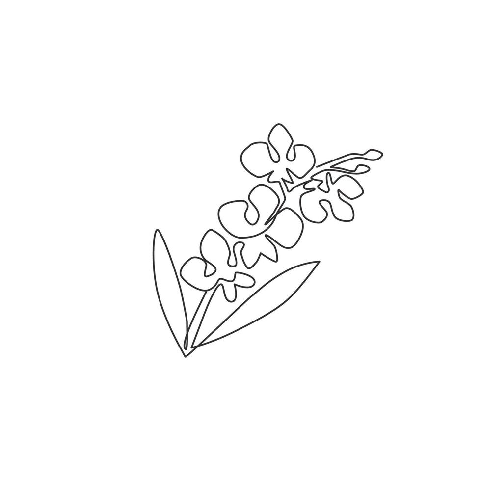 enda kontinuerlig linjeteckning av skönhet färsk gladiolus. utskrivbar dekorativ affisch svärd gladius blomkoncept för hem väggdekoration konst. moderna en rad rita design vektorgrafisk illustration vektor