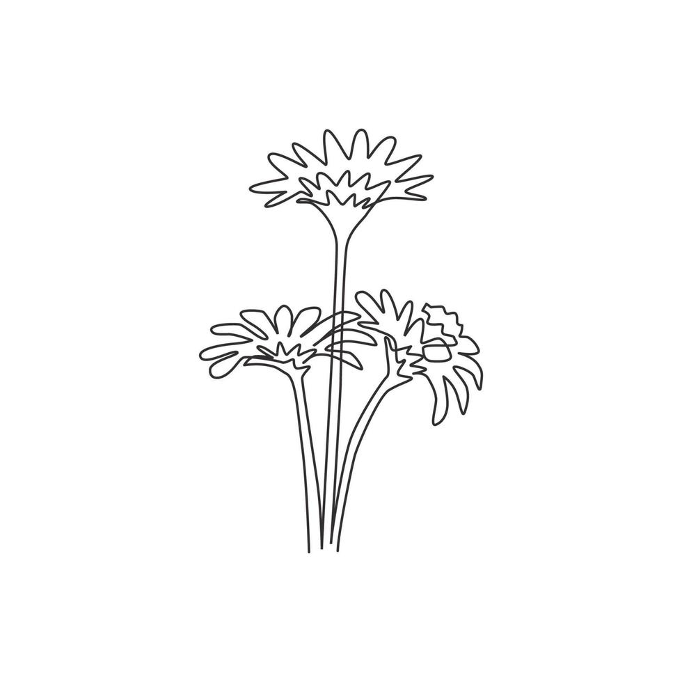 enda kontinuerlig linjeteckning av skönhet färska asteraceae för trädgård logotyp. utskrivbart dekorativt asterblommakoncept för väggkonst heminredningsaffisch. trendiga en rad rita design vektorillustration vektor