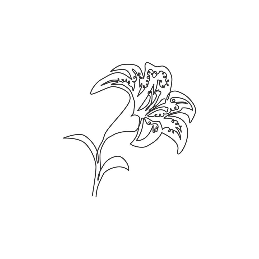 einzelne durchgehende Strichzeichnung der Schönheit frischer Tigerlilie für Wohnkultur-Wandkunst-Plakatdruck. Druckbare dekorative Lilienblume für Hochzeitseinladungskarte. eine linie zeichnen design vektorillustration vektor