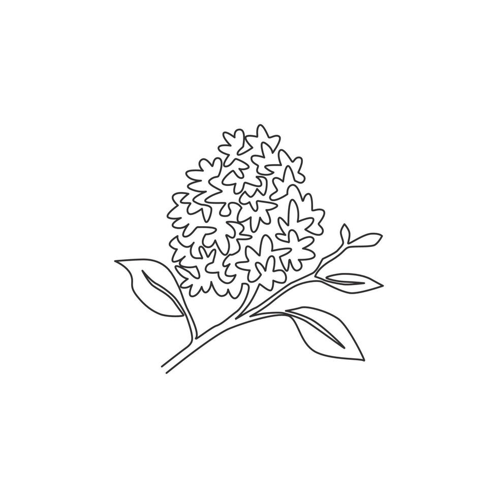 eine durchgehende Linie, die Schönheit frisch syringa vulgaris für Wohnkultur-Wandkunst-Plakatdruck zeichnet. bedruckbare dekorative lila Blume für Kartenverzierung. moderne Single-Line-Draw-Design-Vektor-Illustration vektor