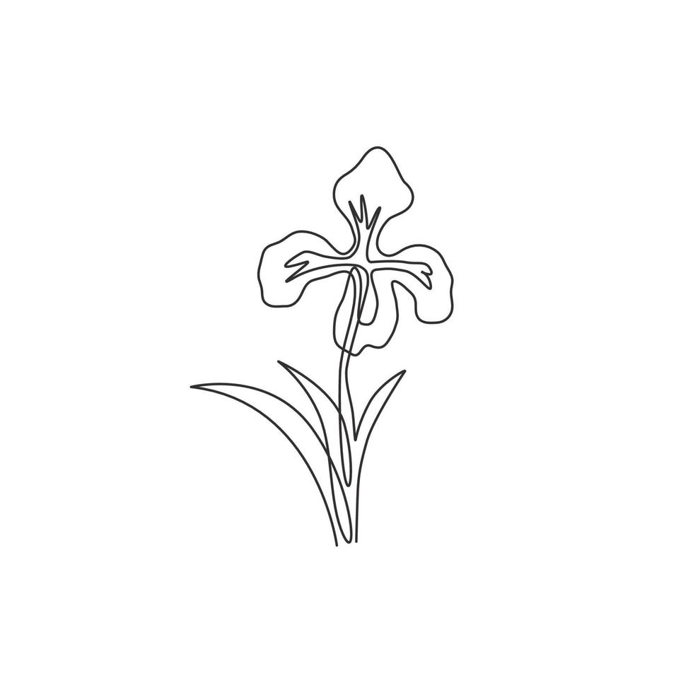 eine einzige strichzeichnung von schönen mehrjährigen pflanzen für das gartenlogo. druckbares dekoratives Irisblumenkonzept für Wohnkultur-Wandkunst-Plakatdruck. durchgehende Linie zeichnen Design-Vektor-Illustration vektor