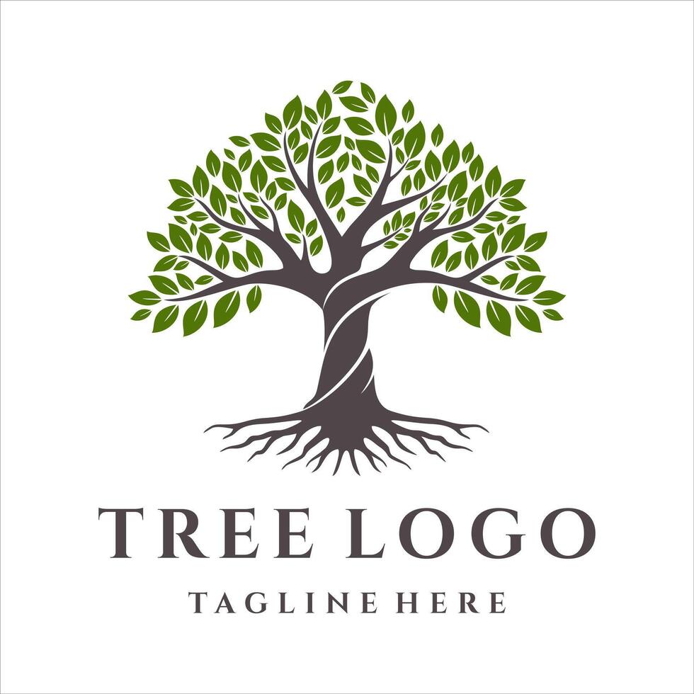 träd av liv logotyp design isolerat på vit bakgrund vektor